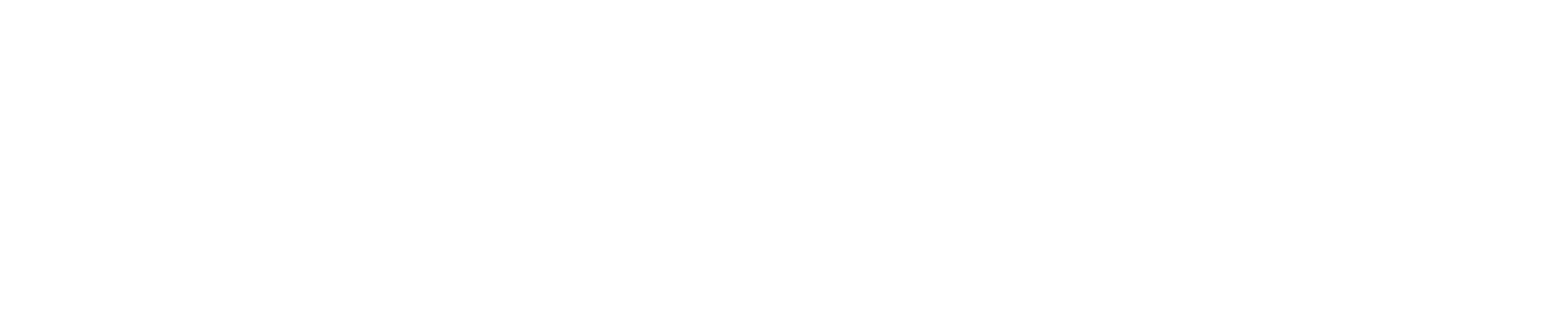 Senmark Industries